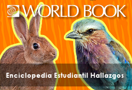 World Book - Enciclopedia Estudiantil Hallazgos screenshot